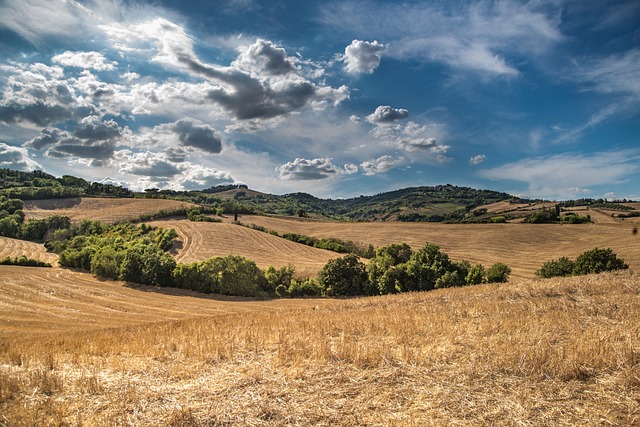 image from Agricultural Landscape of Southern Land