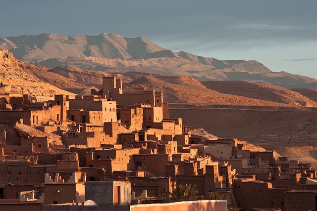 image from Animal activities Ait Benhaddou