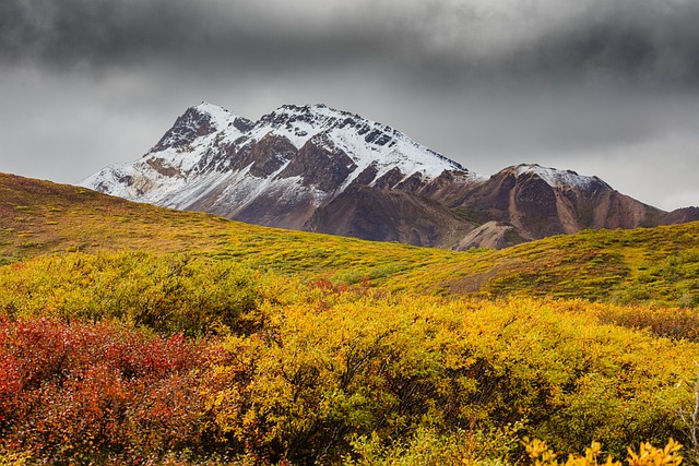 image from Aleutian Islands Alaska