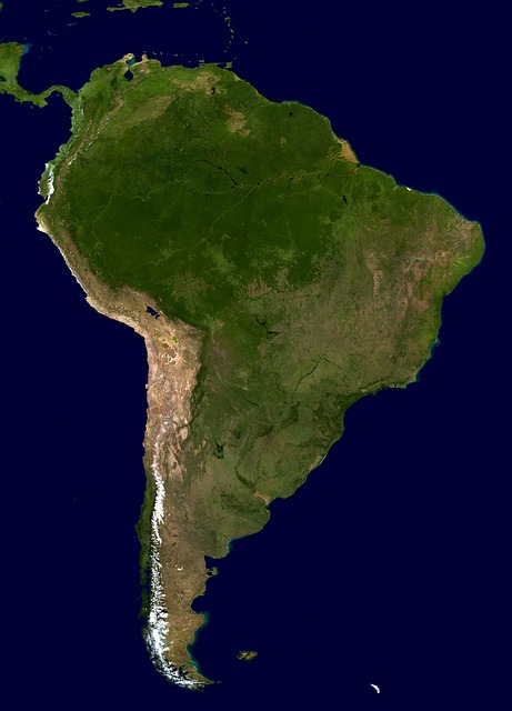 image from Amazon Rainforest South America