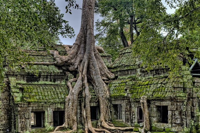 image from Angkor Wat, Cambodia-hiking-areas