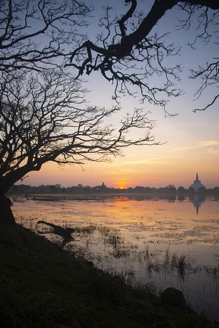 image from Activities Anuradhapura