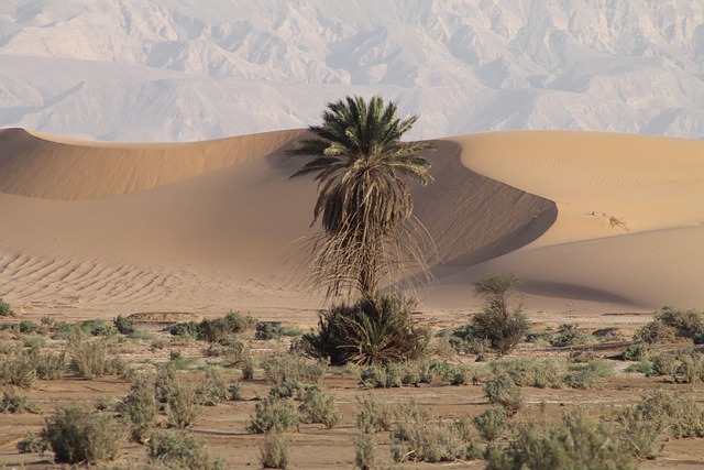 image from Outdoor Activities Aqaba