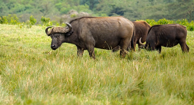 image from Outdoor Activities Arusha