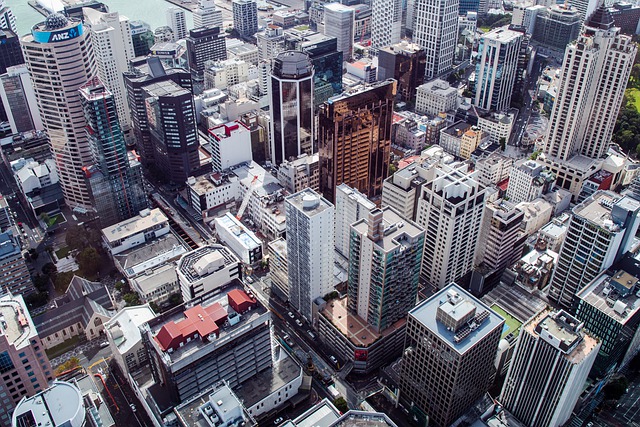 image from Auckland Boat Tours