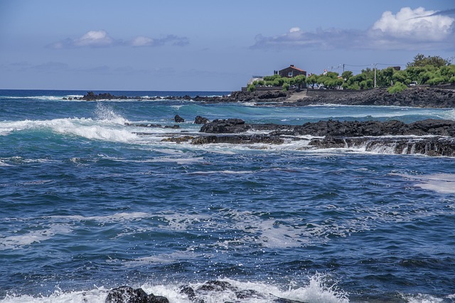 image from Attraction Tours Azores