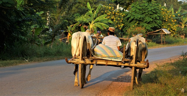 image from Adventure Tours Battambang