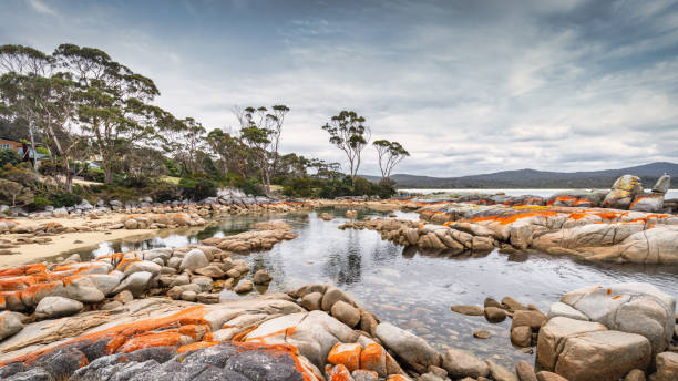 image from Bay of Fires Tasmania