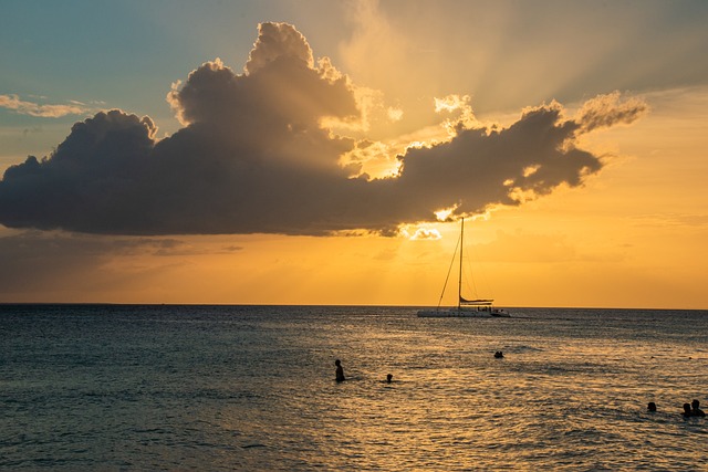 image from Animal activities Bayahibe