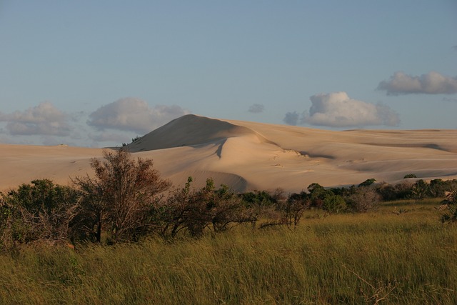 image from Bazaruto Archipelago Mozambique