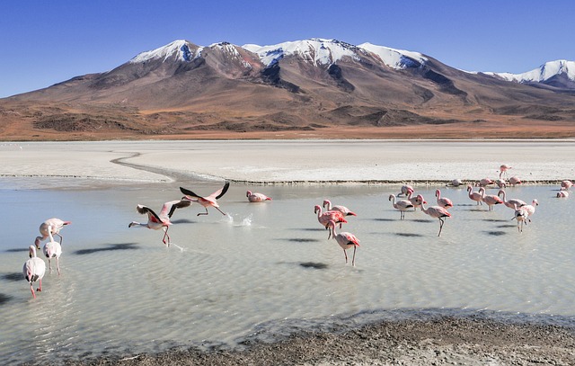 image from Romantic Getaways Bolivia