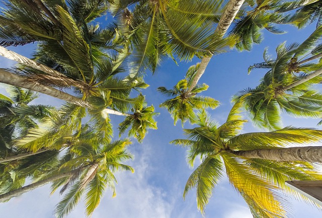 image from Boracay Boat Tours