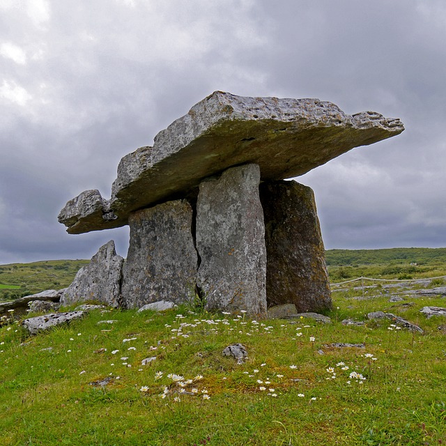 image from Brú Na Bóinne Neolithic Site (County Meath, Ireland)