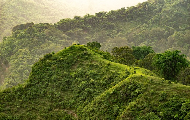 image from Brimstone Hill Fortress National Park