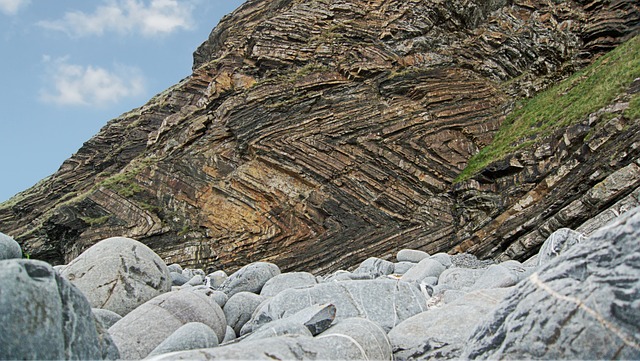 image from Burgess Shale Bc Canada