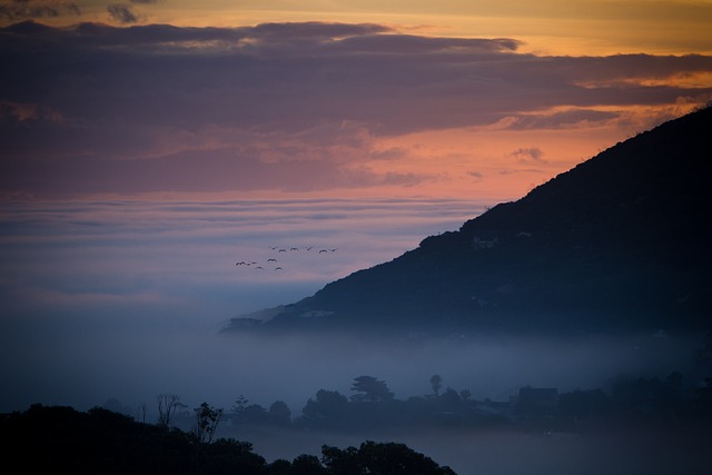 image from Cape Floral Region Protected Areas