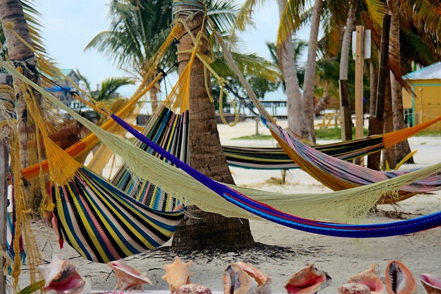 image from Couple Activities Caye Caulker