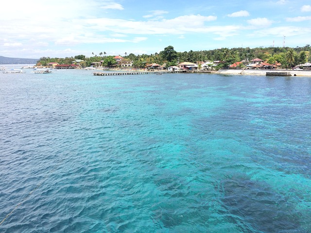 image from Bus Tours Cebu City