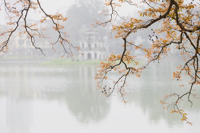 image from Bus Tours Central Vietnam