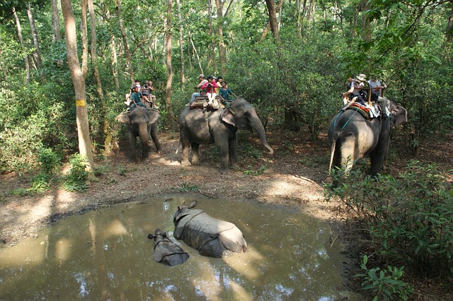 image from Chitwan National Park Nepal