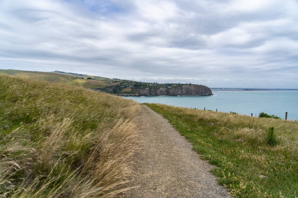 image from Christchurch New Zealand