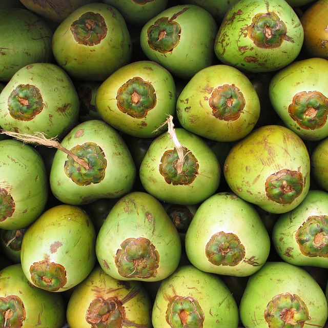 image from Cocos Keeling Islands 7 Day Itinerary