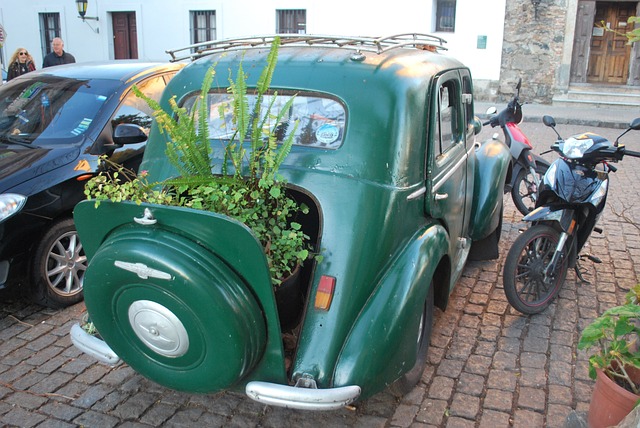 image from Bus Tours Colonia del Sacramento