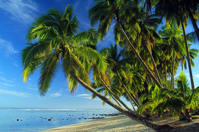 image from Cook Islands-2-day-itinerary