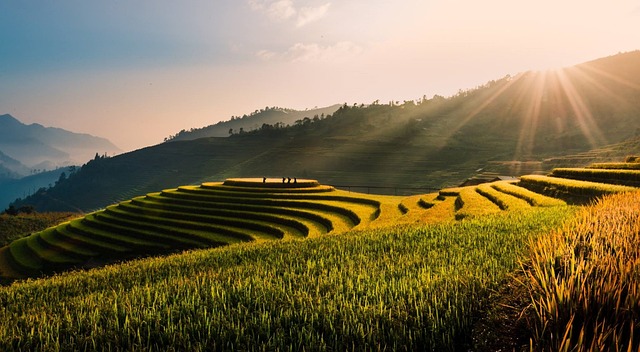 image from Cultural Landscape of Honghe Hani Rice Terraces