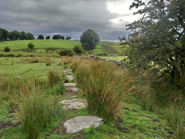 image from Dartmoor