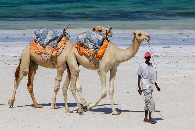 image from Workshops Diani Beach