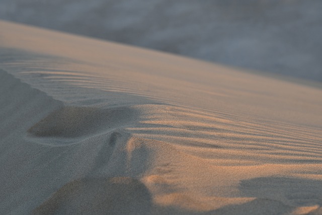 image from Doha, Qatar-nature-spots