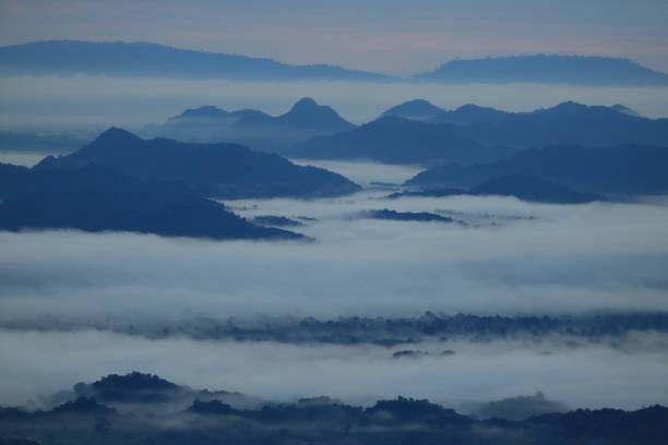 image from Dong Phayayen-Khao Yai Forest Complex