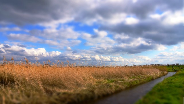 image from Beemster Polder: Complete Visitor Guide
