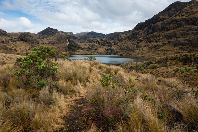 image from Ecuador-6-day-itinerary