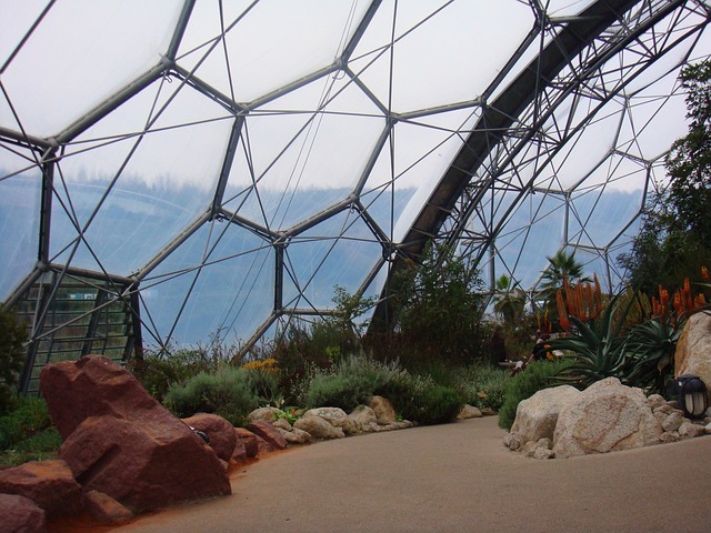 image from Eden Project