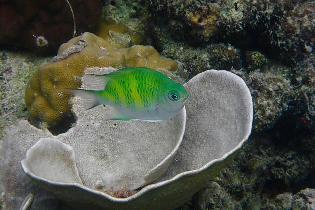 image from Outdoor Activities El Nido