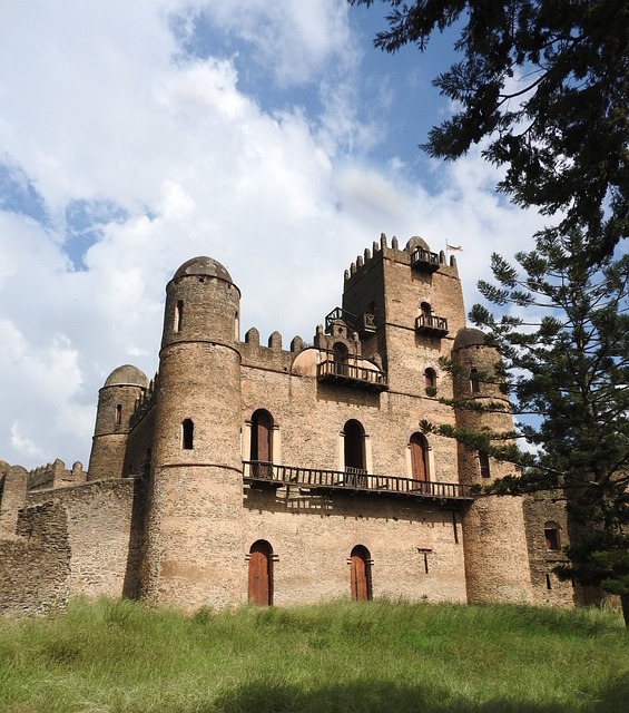 image from Fasil Ghebbi Gondar Region