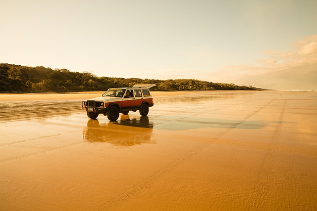 image from Fraser Island Queensland