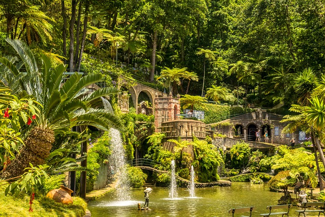 image from best-places-to-eat-in-Funchal, Madeira