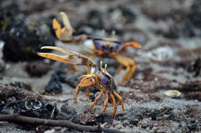 image from Gabon-5-day-itinerary