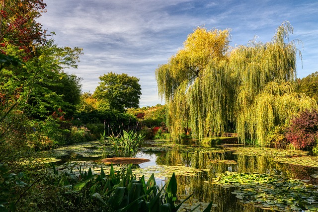 image from Giverny