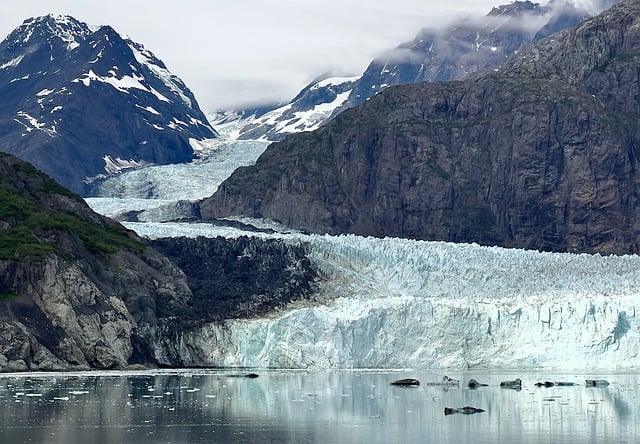 image from Glacier Bay National Park Alaska