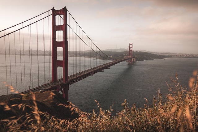 image from Golden Gate Park, San Francisco