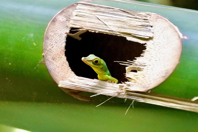 image from Sightseeing Grenada