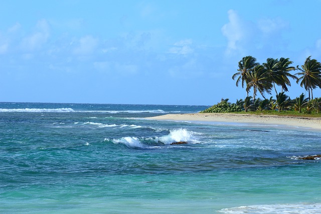 image from Walking Tours Guadeloupe