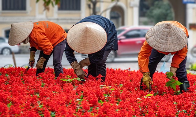 image from Hidden Gems In Hanoi, Vietnam