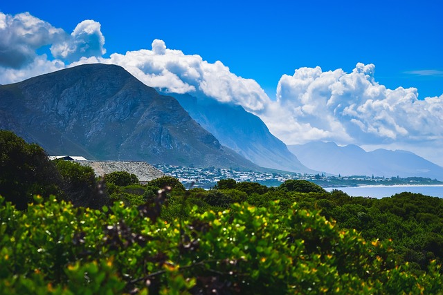 image from Hermanus Boat Tours