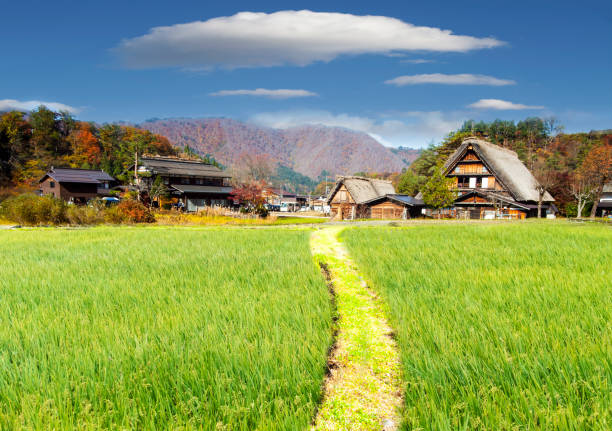 image from Historic Villages of Shirakawa-go and Gokayama