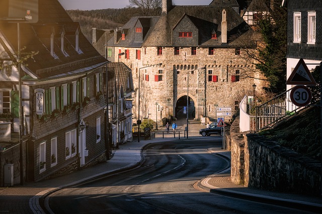 image from Hola Ovice Historic Village